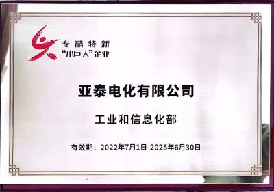 國家級專精特新小巨人企業
